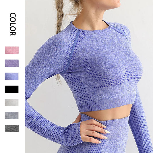 Women Seamless Yoga Shirts Crop Top Long Sleeves